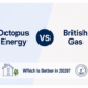 Octopus Energy vs British Gas comparison 2026